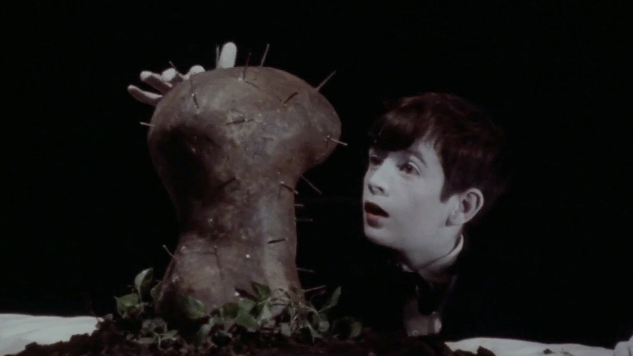 The Grandmother (1970) backdrop artwork