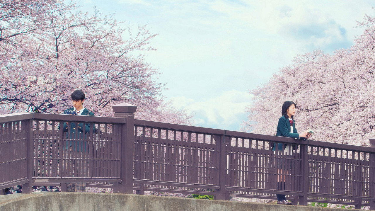 Let Me Eat Your Pancreas (2017) backdrop artwork
