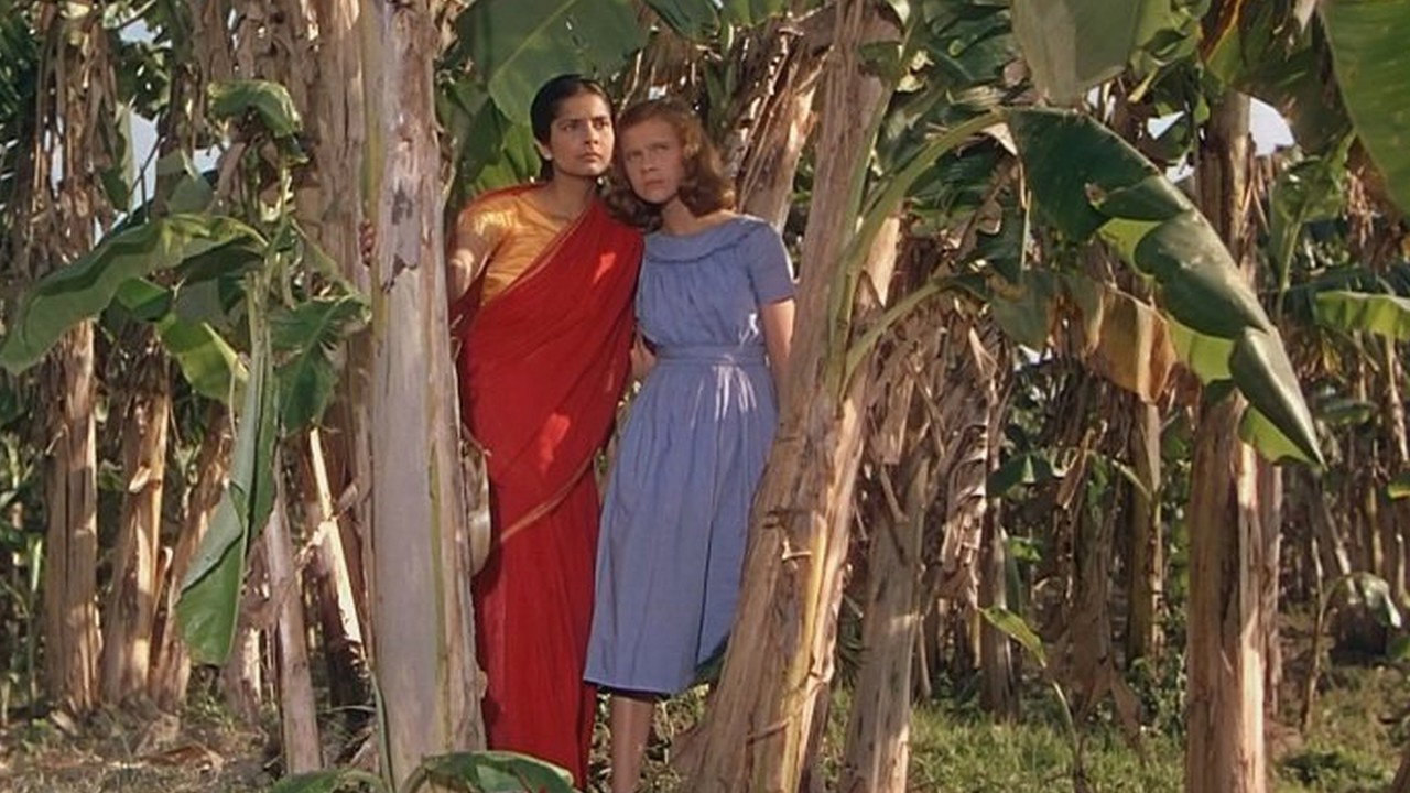 The River (1951) backdrop artwork