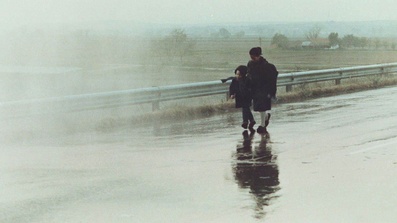 Landscape in the Mist (1988) backdrop artwork