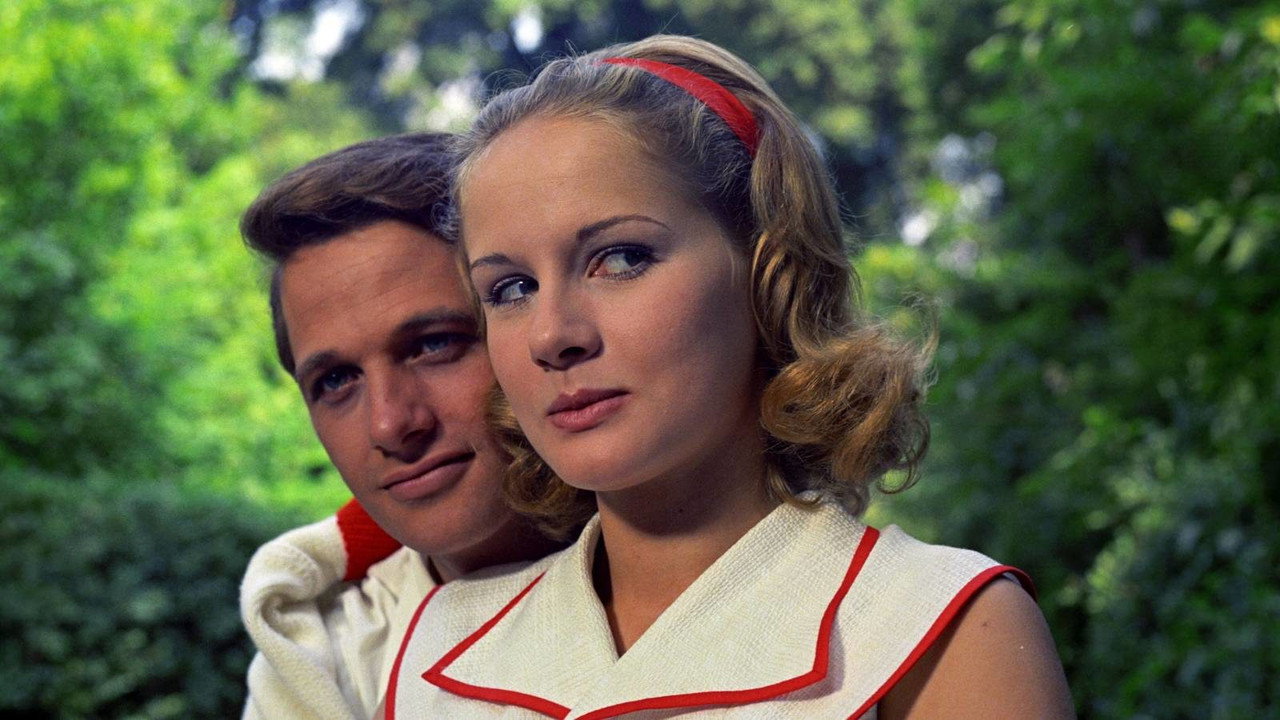 The Garden of the Finzi-Continis (1970) backdrop artwork