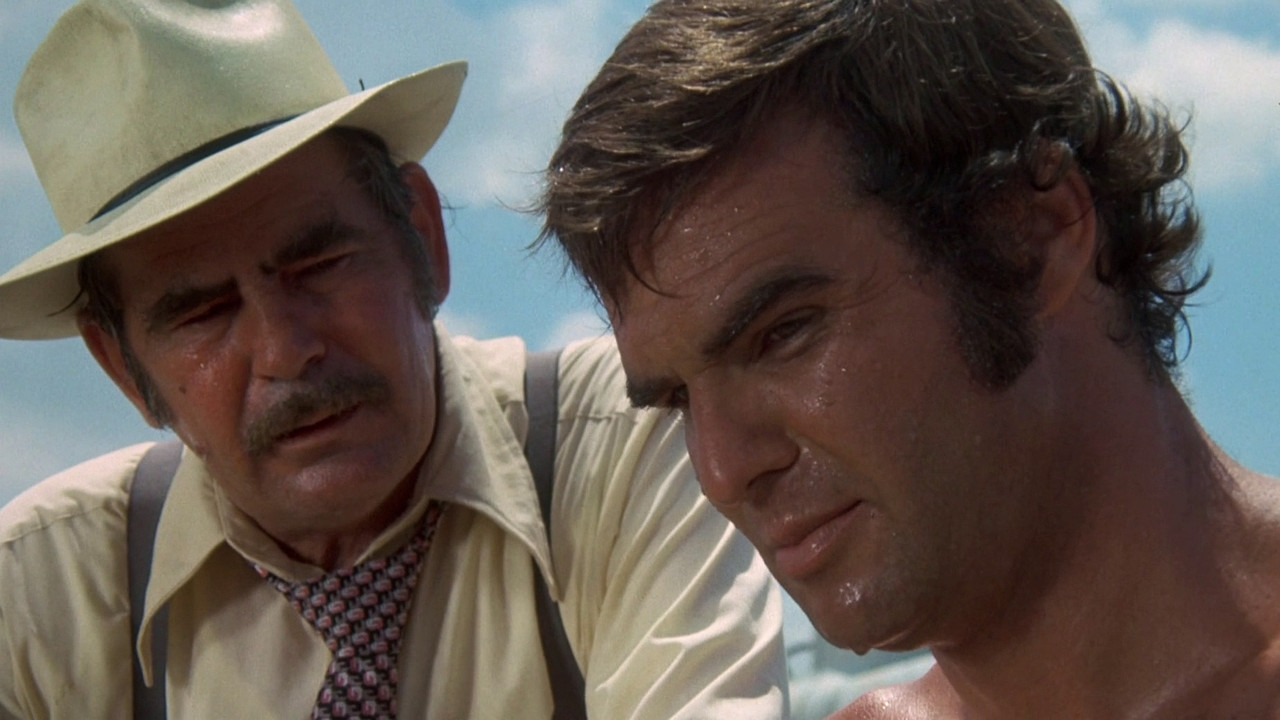 White Lightning (1973) backdrop artwork