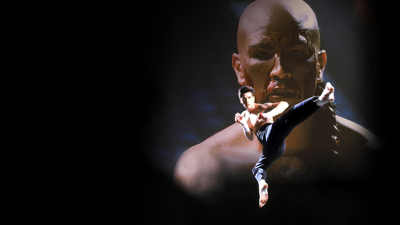 Kickboxer 4: The Aggressor (1994) backdrop artwork