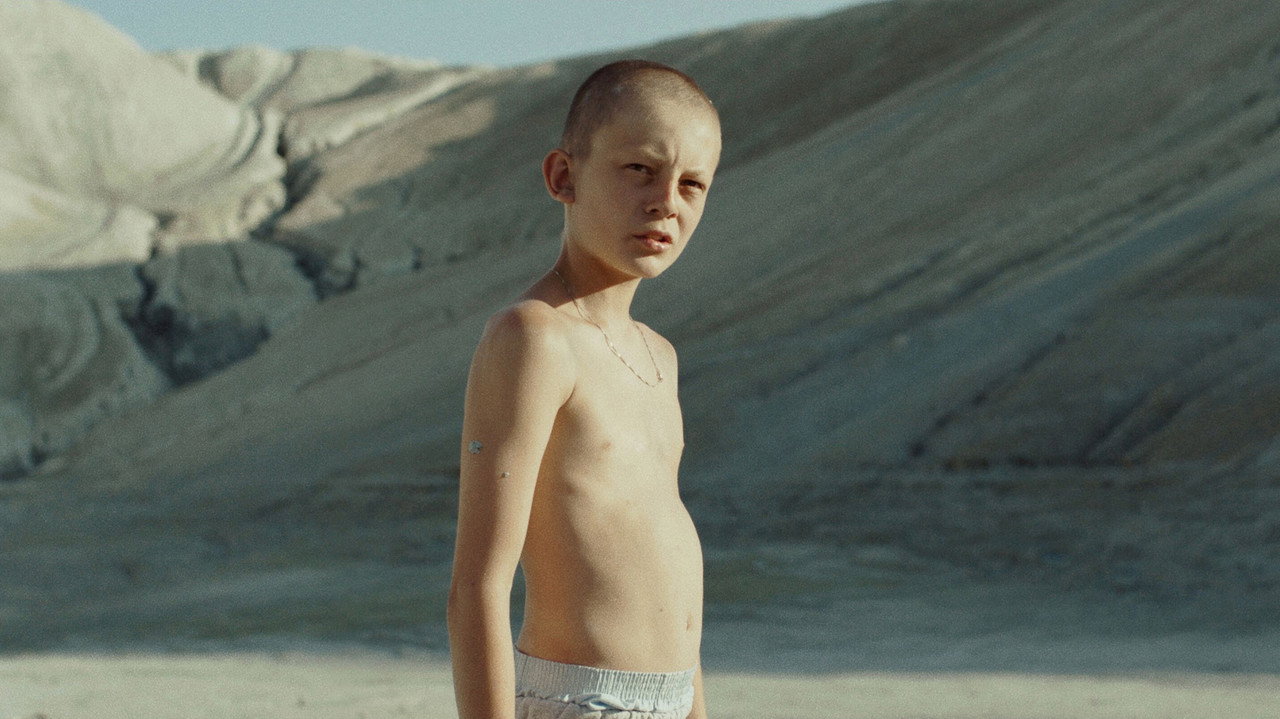 Fauve (2018) backdrop artwork