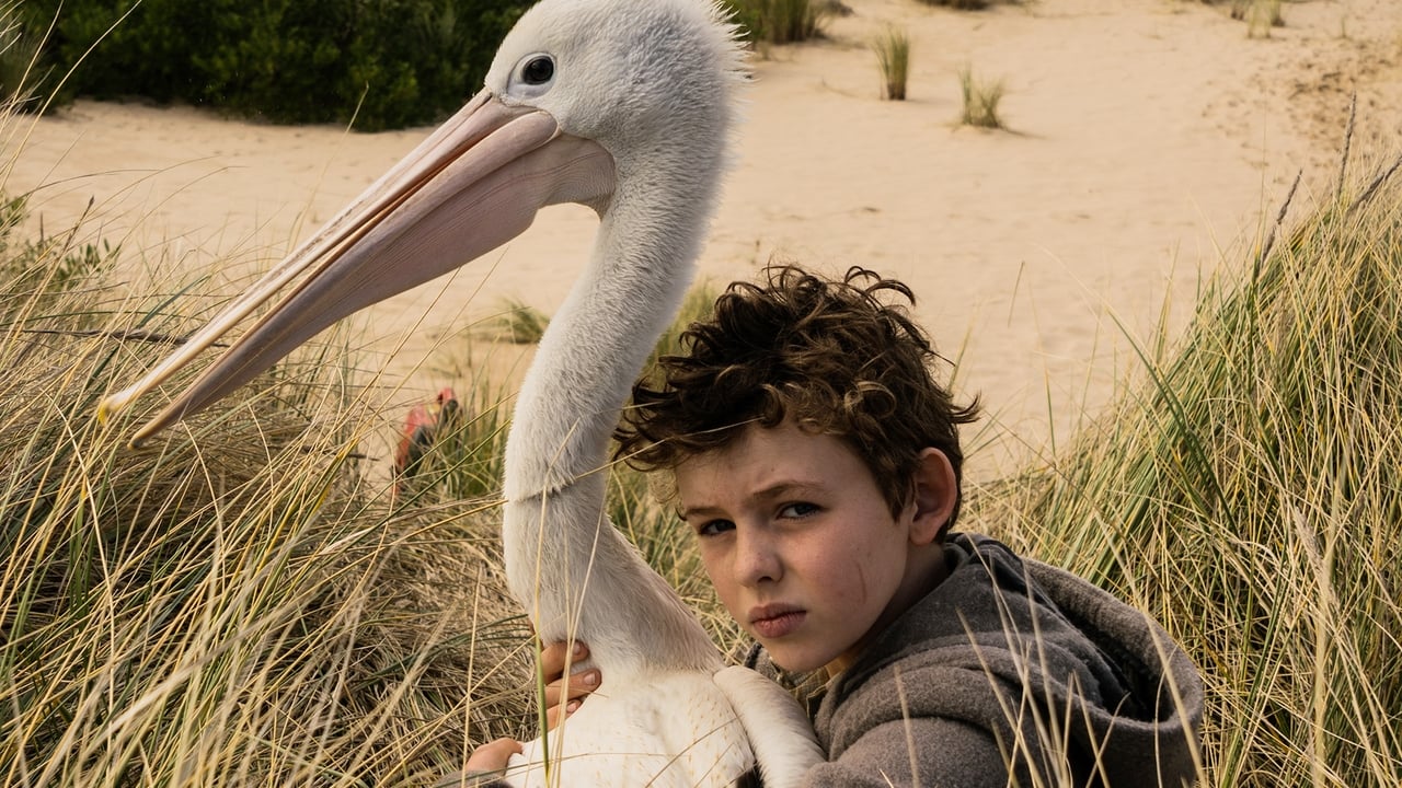 Storm Boy (2019) backdrop artwork