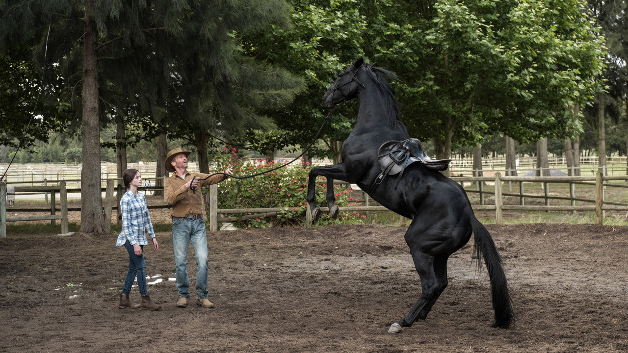Black Beauty (2020) backdrop artwork