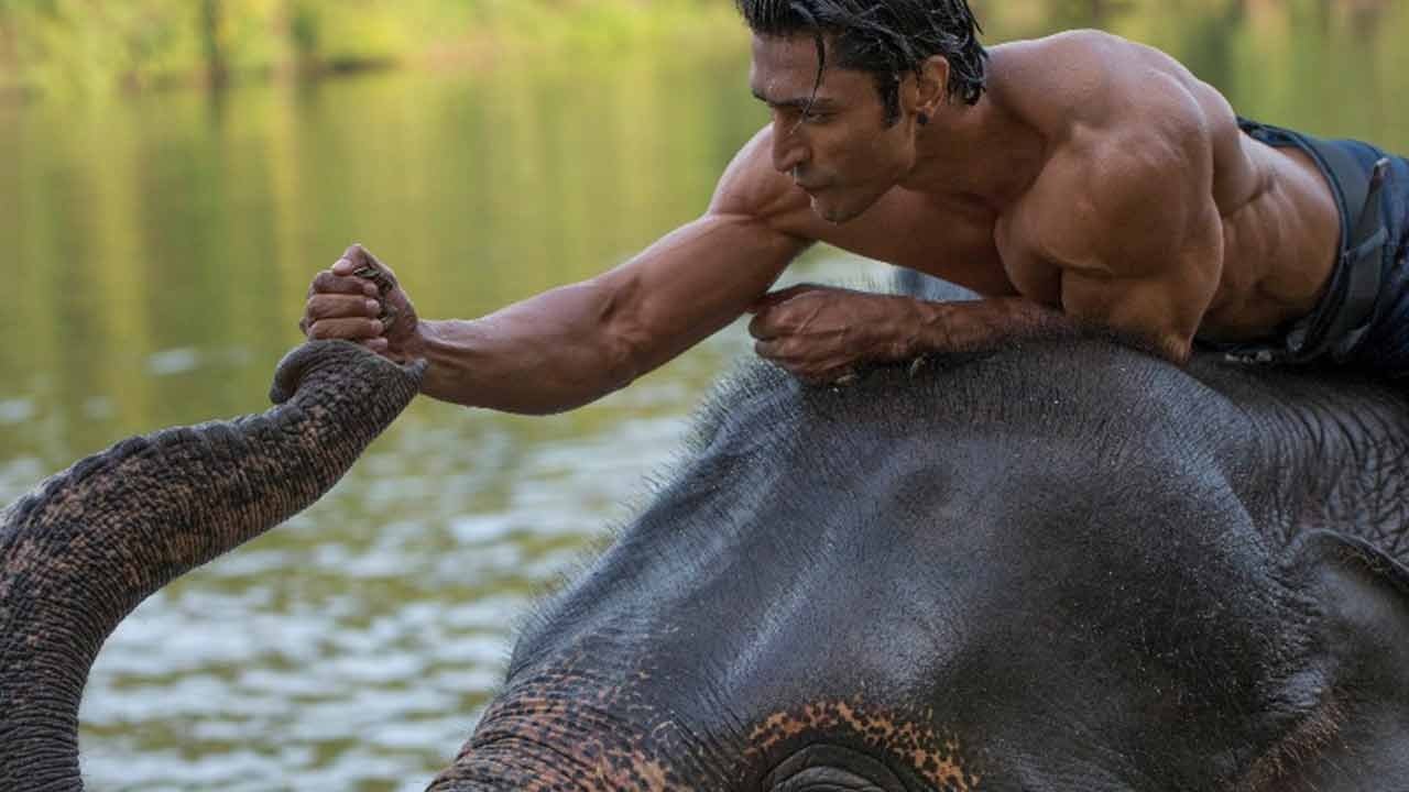 Junglee (2019) backdrop artwork