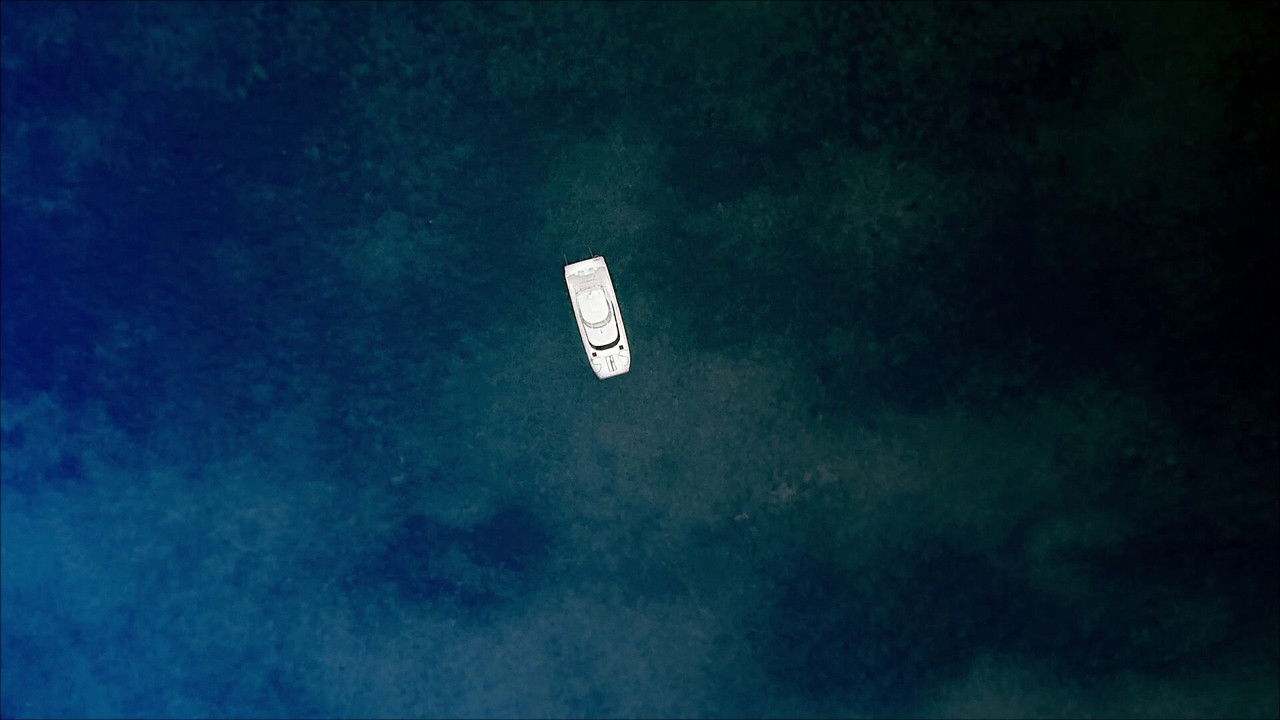 Harpoon (2019) backdrop artwork