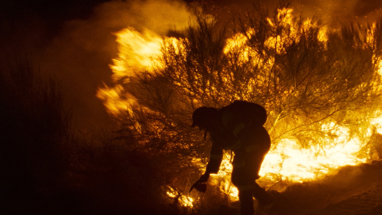 Fire Will Come (2019) backdrop artwork