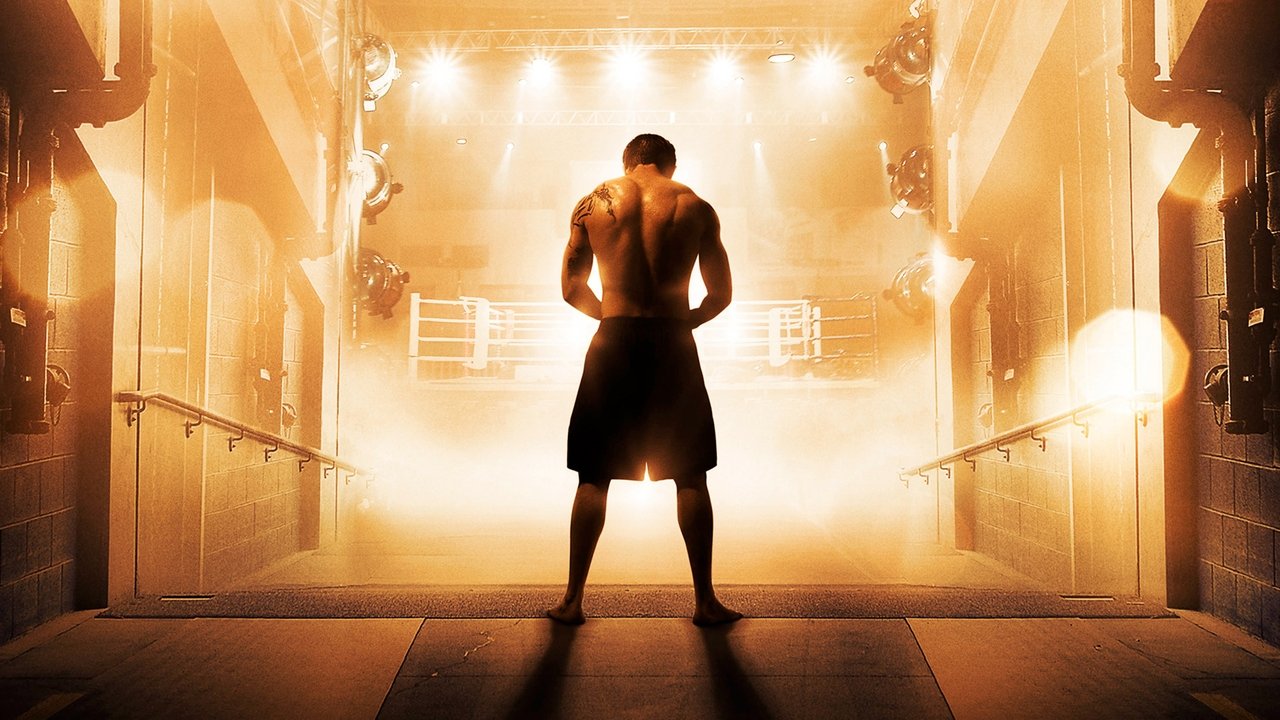 Warrior (2011) backdrop artwork