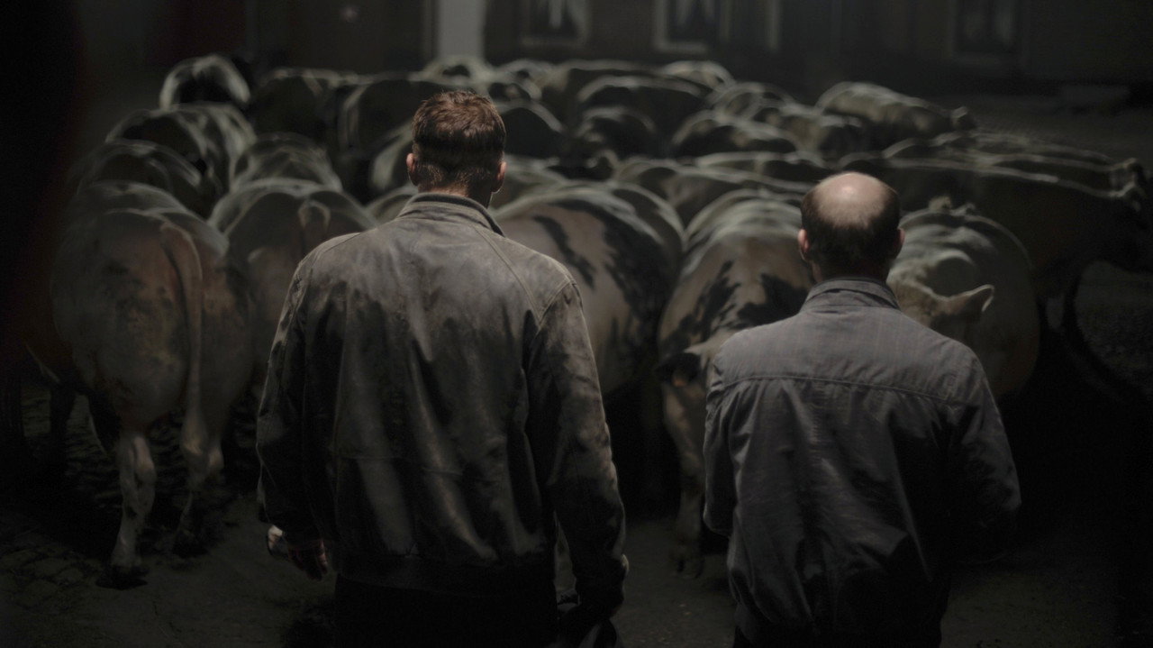 Bullhead (2011) backdrop artwork