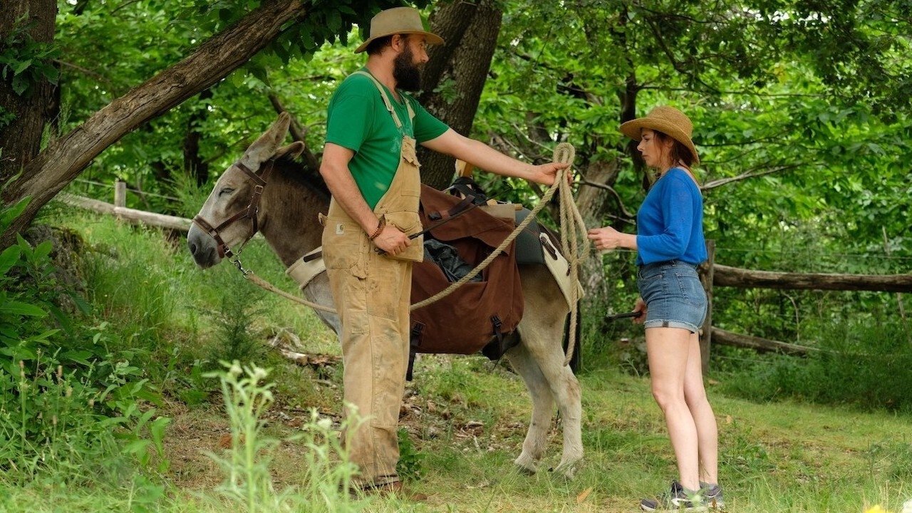 My Donkey, My Lover & I (2020) backdrop artwork