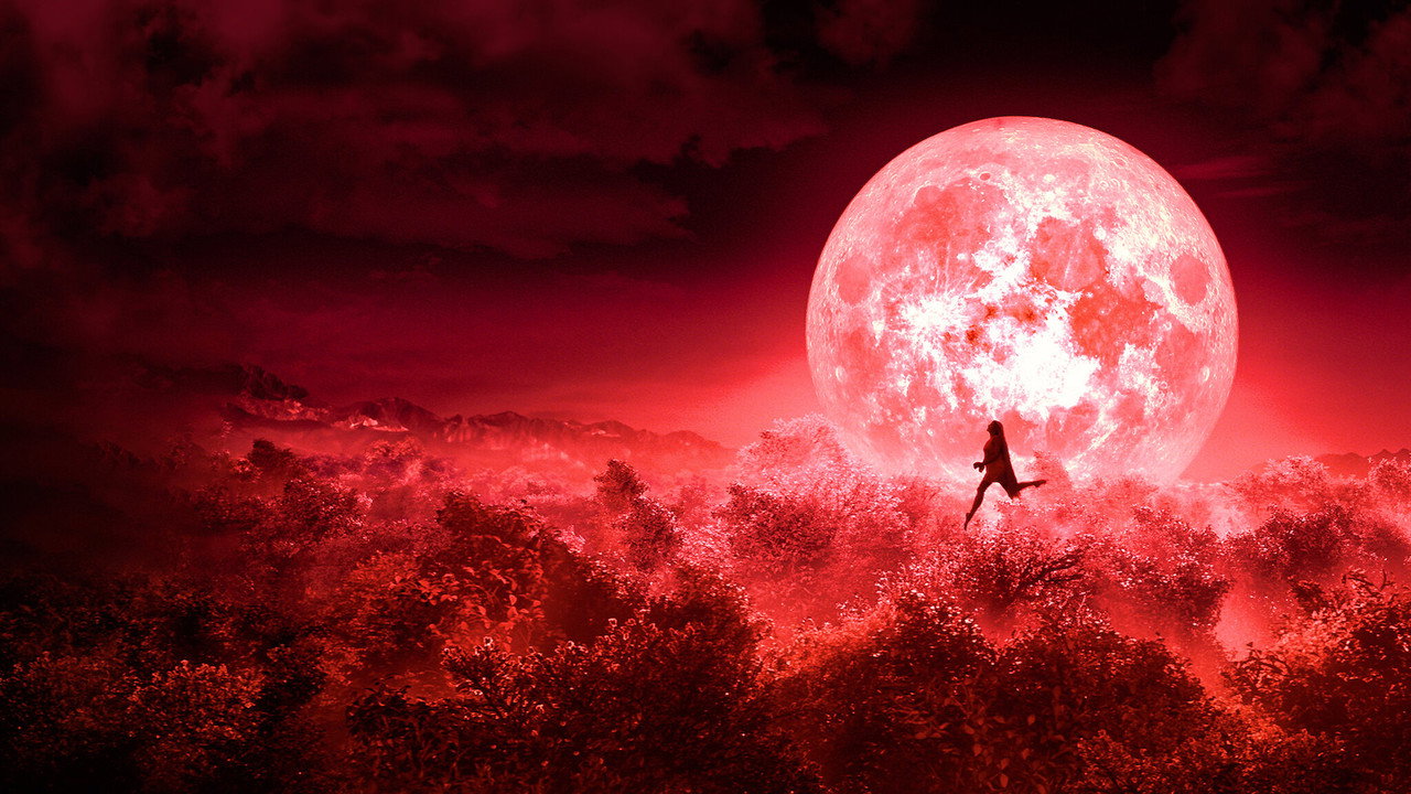 Bulbbul (2020) backdrop artwork