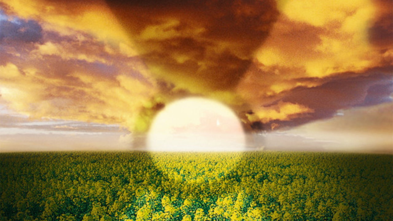 The Cloud (2006) backdrop artwork
