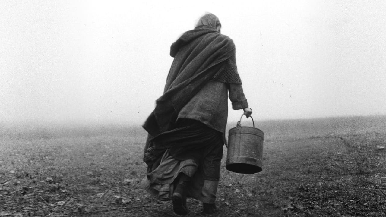 The Turin Horse (2011) backdrop artwork