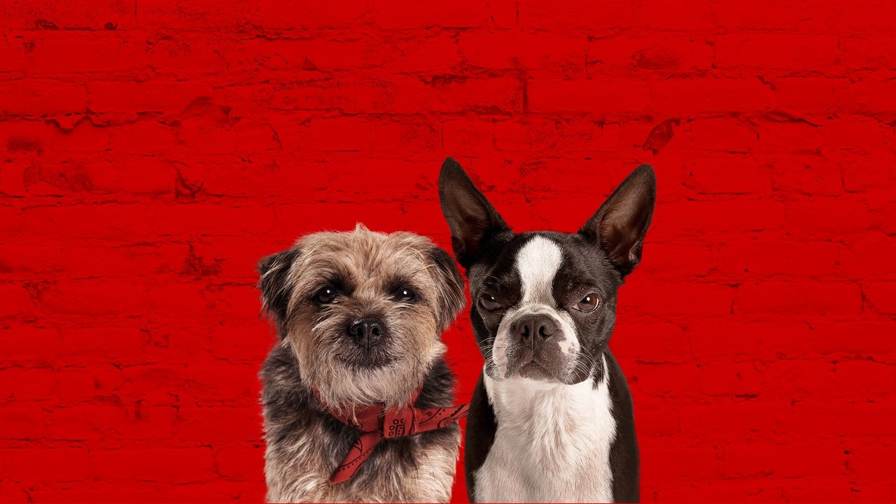 Strays (2023) backdrop artwork