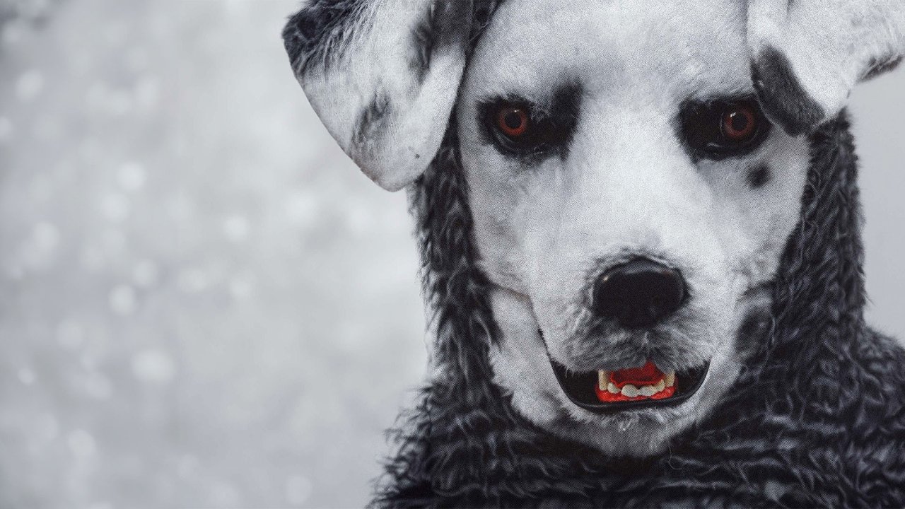 Good Boy (2022) backdrop artwork