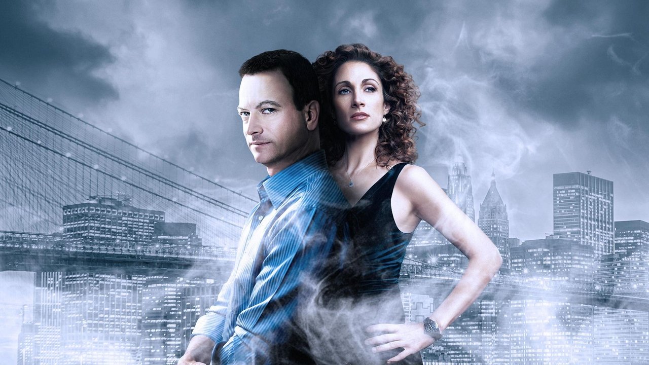 CSI: NY (2004) series backdrop artwork