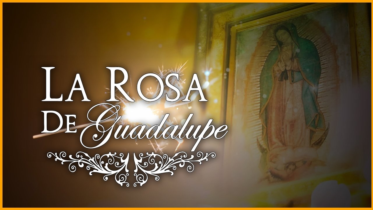 La rosa de Guadalupe (2008) series backdrop artwork