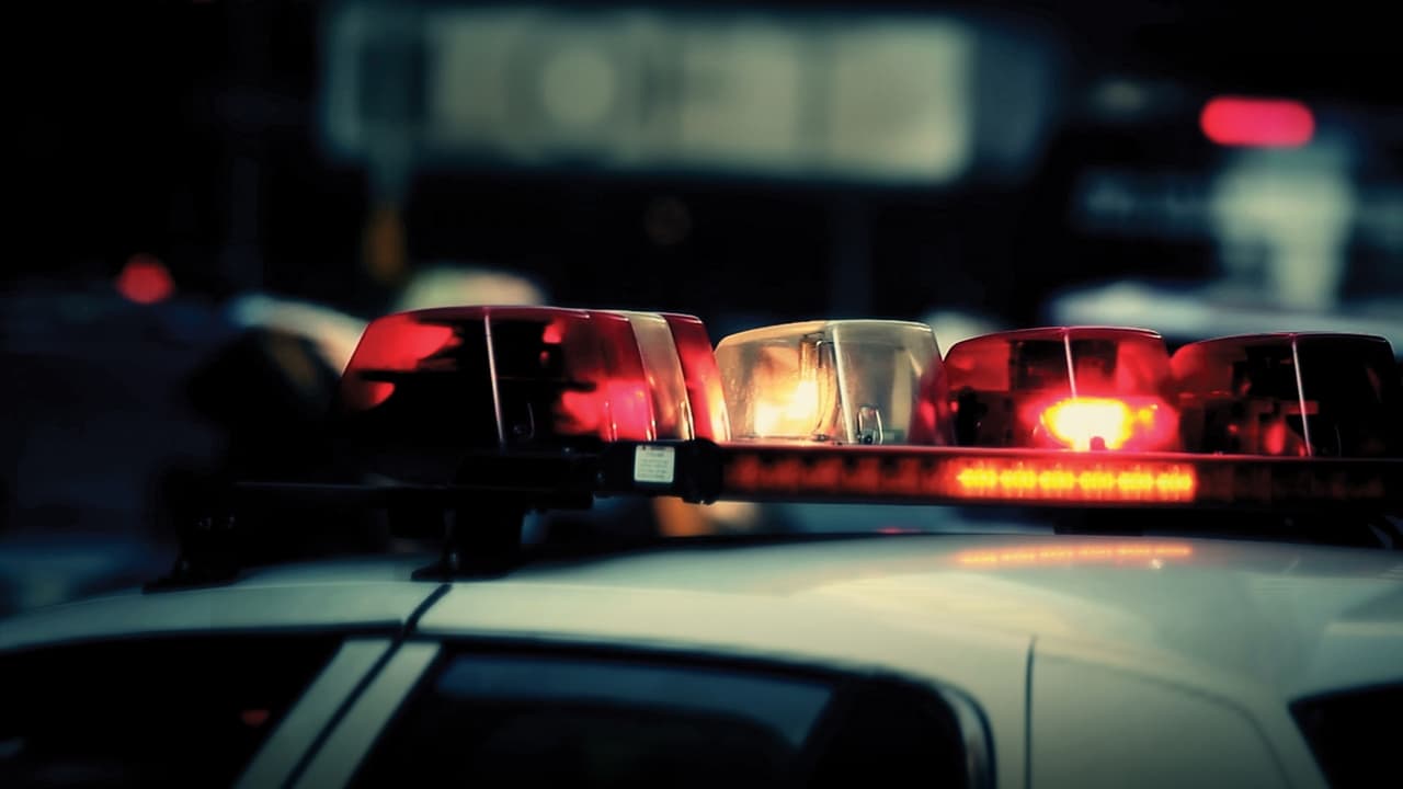 Cops (1989) series backdrop artwork