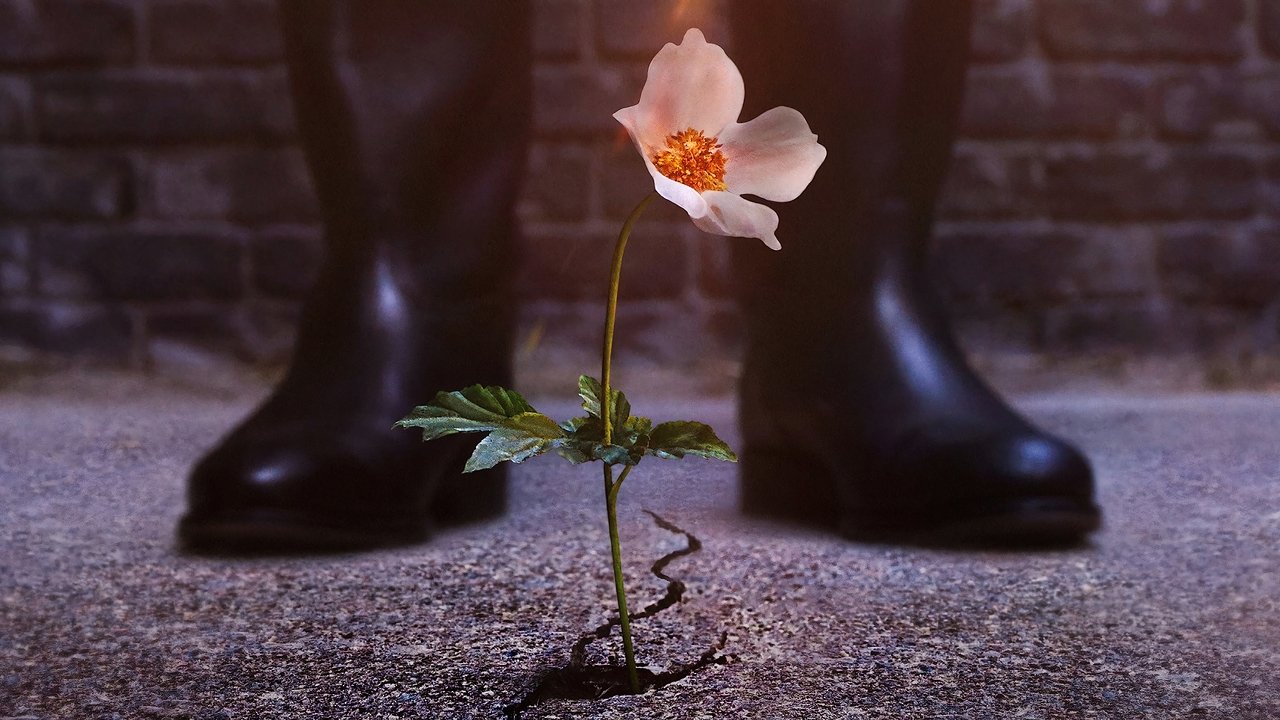The Man in the High Castle (2015) series backdrop artwork