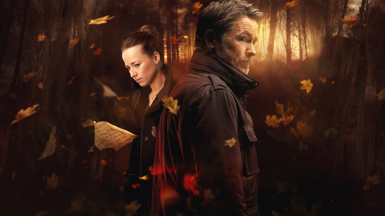 Cardinal (2017) series backdrop artwork