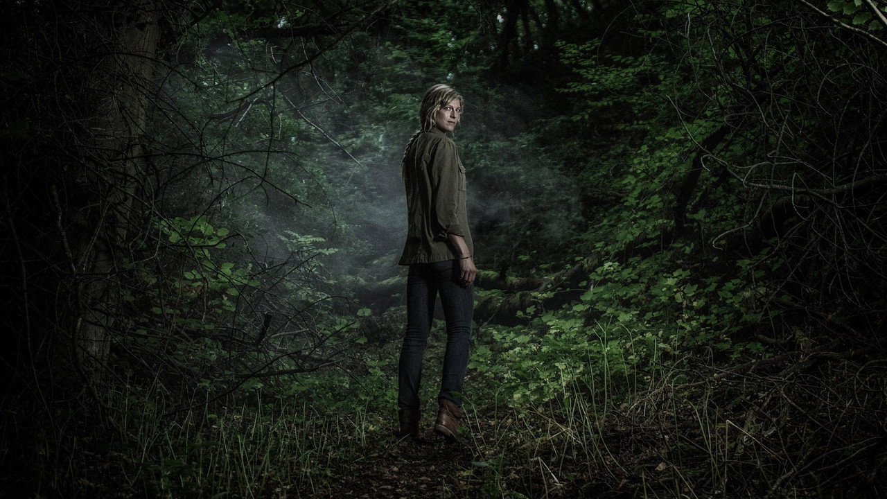 The Forest (2017) series backdrop artwork