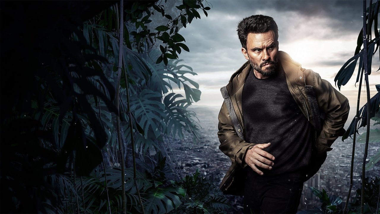 Wild District (2018) series backdrop artwork
