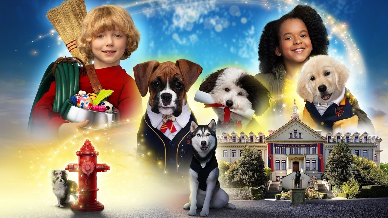 Pup Academy (2019) series backdrop artwork