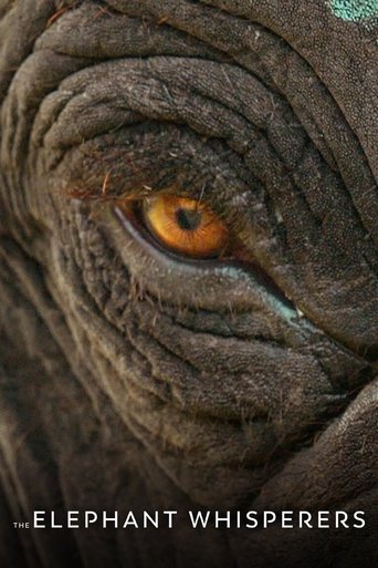 The Elephant Whisperers (2022) movie poster