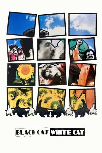 Black Cat, White Cat (1998) movie poster