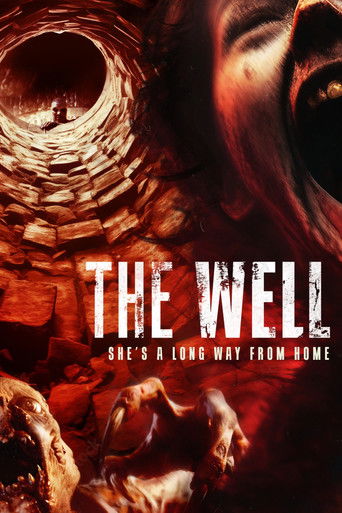 The Well (2024) movie poster