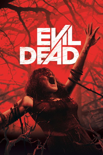 Evil Dead (2013) movie poster