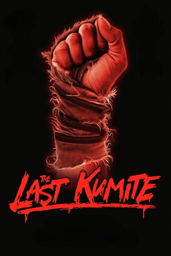 The Last Kumite (2024) movie poster