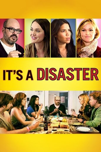 It's a Disaster (2013) movie poster