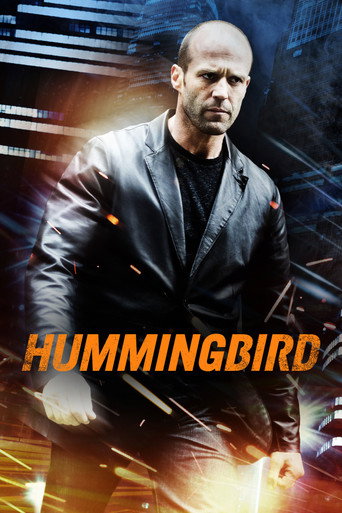 Hummingbird (2013) movie poster