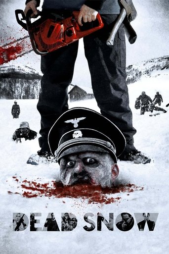Dead Snow (2009) movie poster
