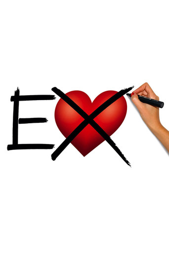Ex (2009) movie poster