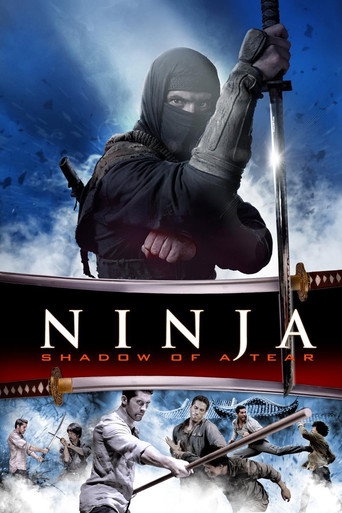 Ninja: Shadow of a Tear (2013) movie poster