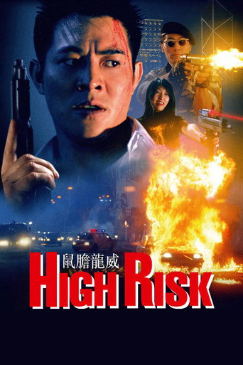 High Risk (1995) movie poster