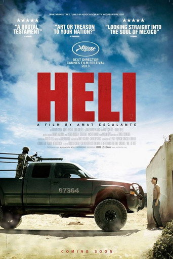 Heli (2013) movie poster