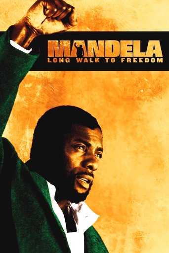 Mandela: Long Walk to Freedom (2013) movie poster