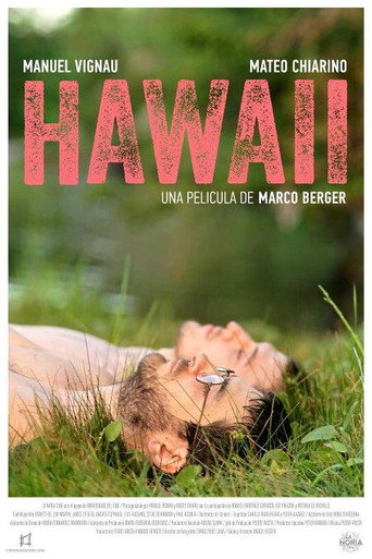Hawaii (2013) movie poster