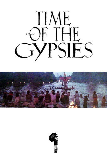Time of the Gypsies (1988) movie poster