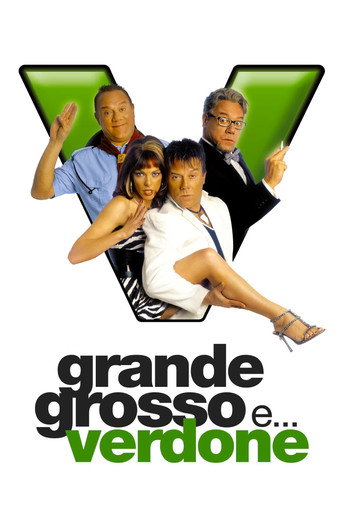 Grande, grosso e... Verdone (2008) movie poster