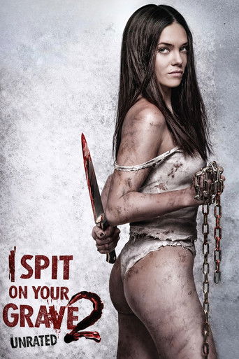 I Spit on Your Grave 2 (2013) movie poster
