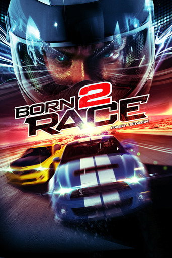 Born to Race: Fast Track (2014) movie poster