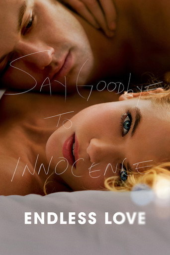Endless Love (2014) movie poster