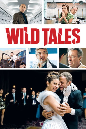 Wild Tales (2014) movie poster