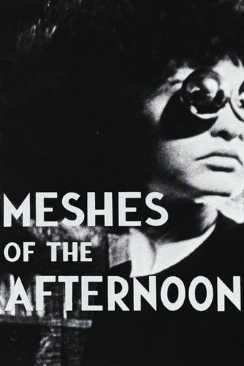 Meshes of the Afternoon (1943) movie poster
